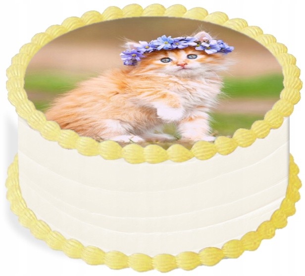 Levně oplatek na dort 29 cm Zvířata Kočka Narozeniny
