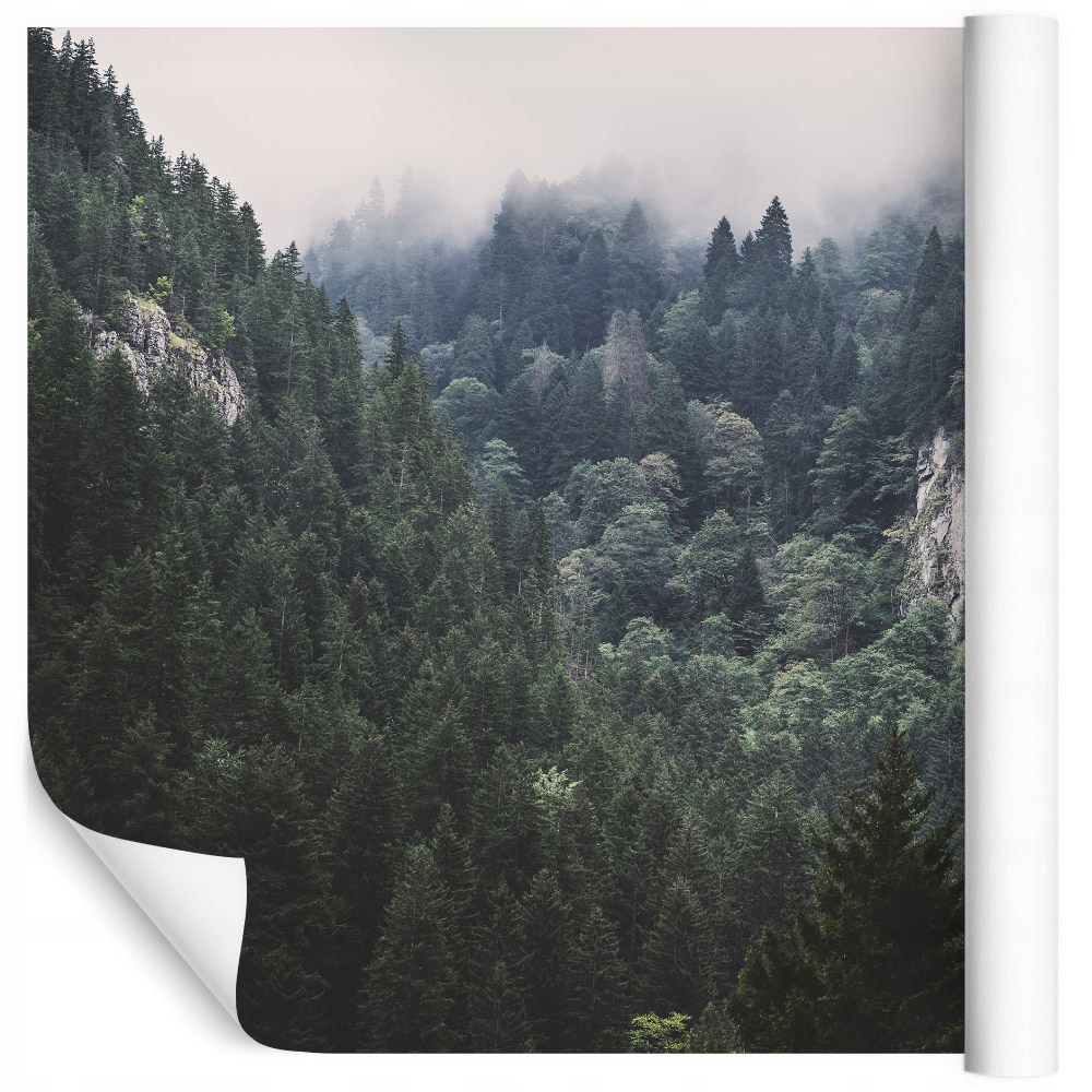 Fototapeta ložnice les příroda stromy 240x360