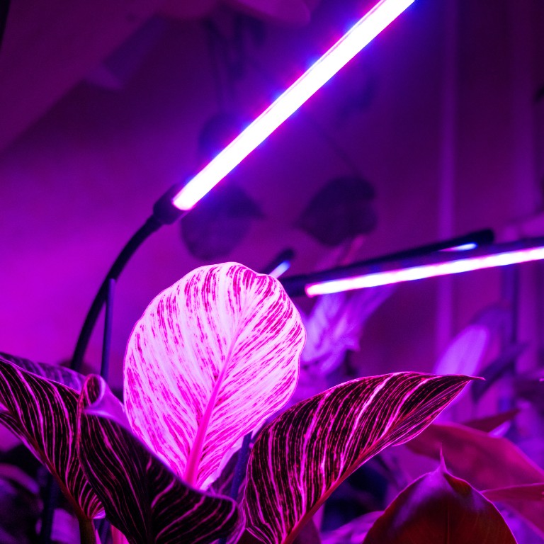 LAMPA DO WZROSTU UPRAWY ROŚLIN LED GROW LIGHT TIMER 9 POZIOMÓW ŚWIECENIA Maksymalna moc 30 W