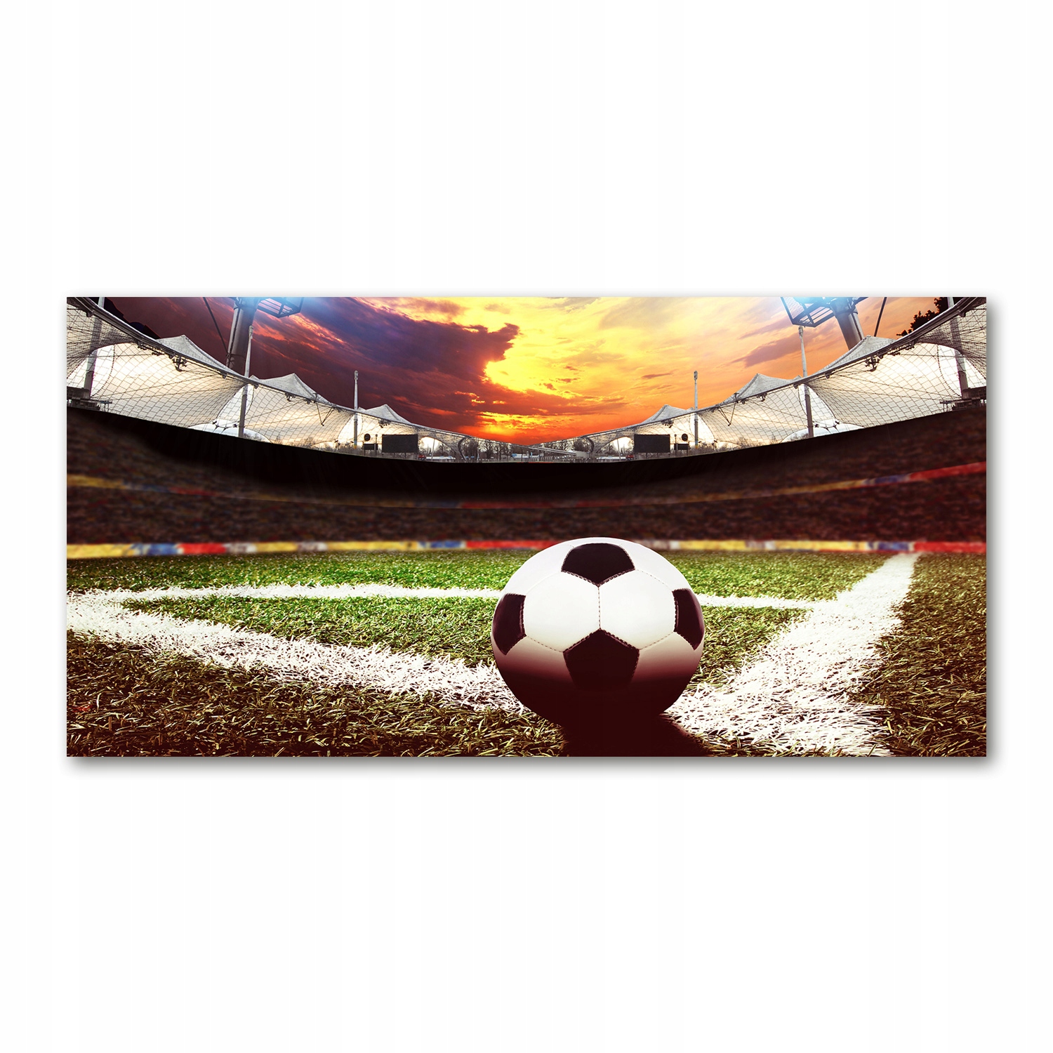 

Foto obraz akrylowy Piłka na stadionie 140x70 cm