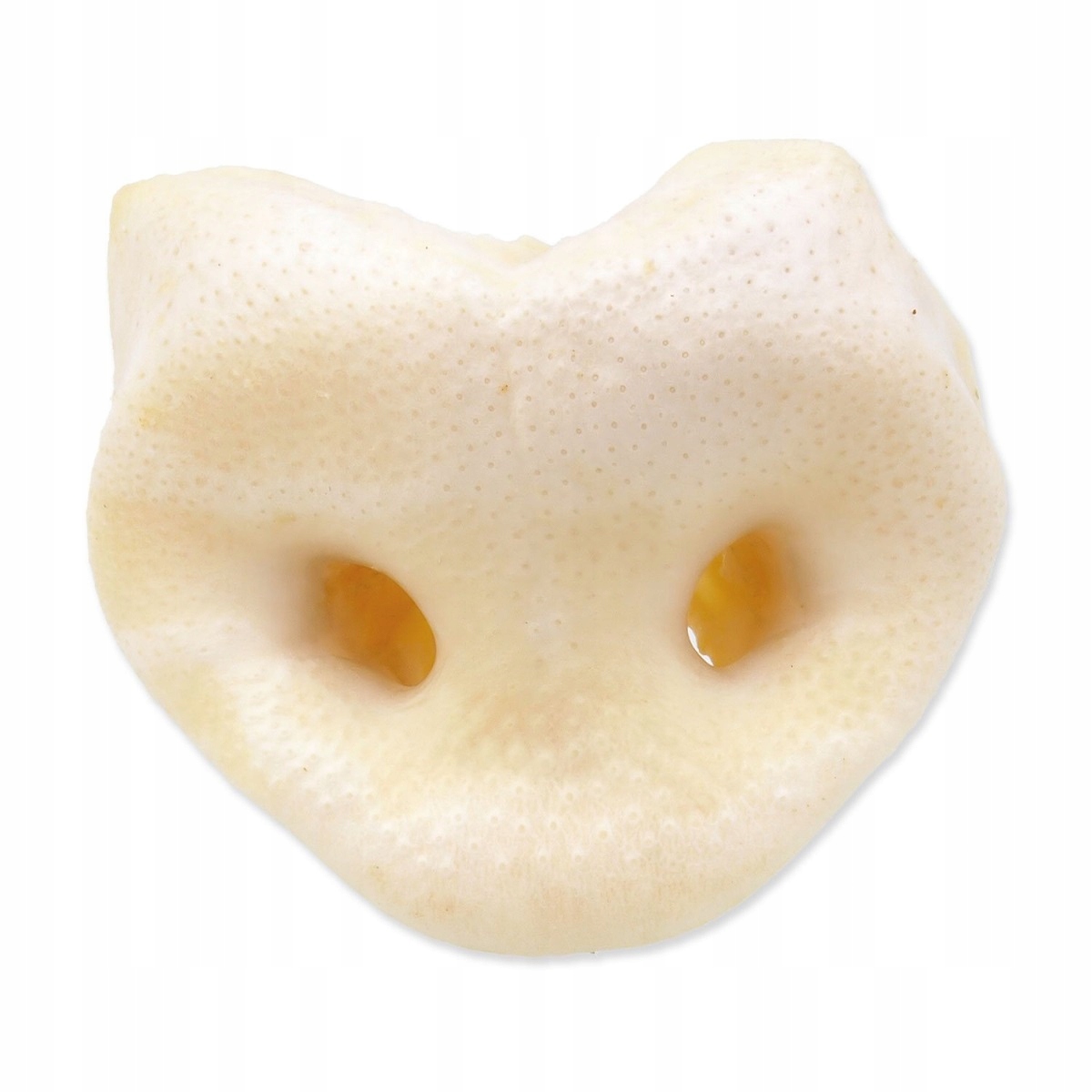 Levně Rypáček vepřový bílý 50ks