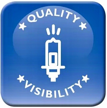 ŻARÓWKI H4 PHILIPS VisionPlus + 60% 55W KOMPLET Typ żarówki H4