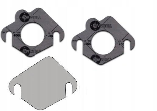 Zaślepka EGR Peugeot Ford Citroen HDi TDCi 008