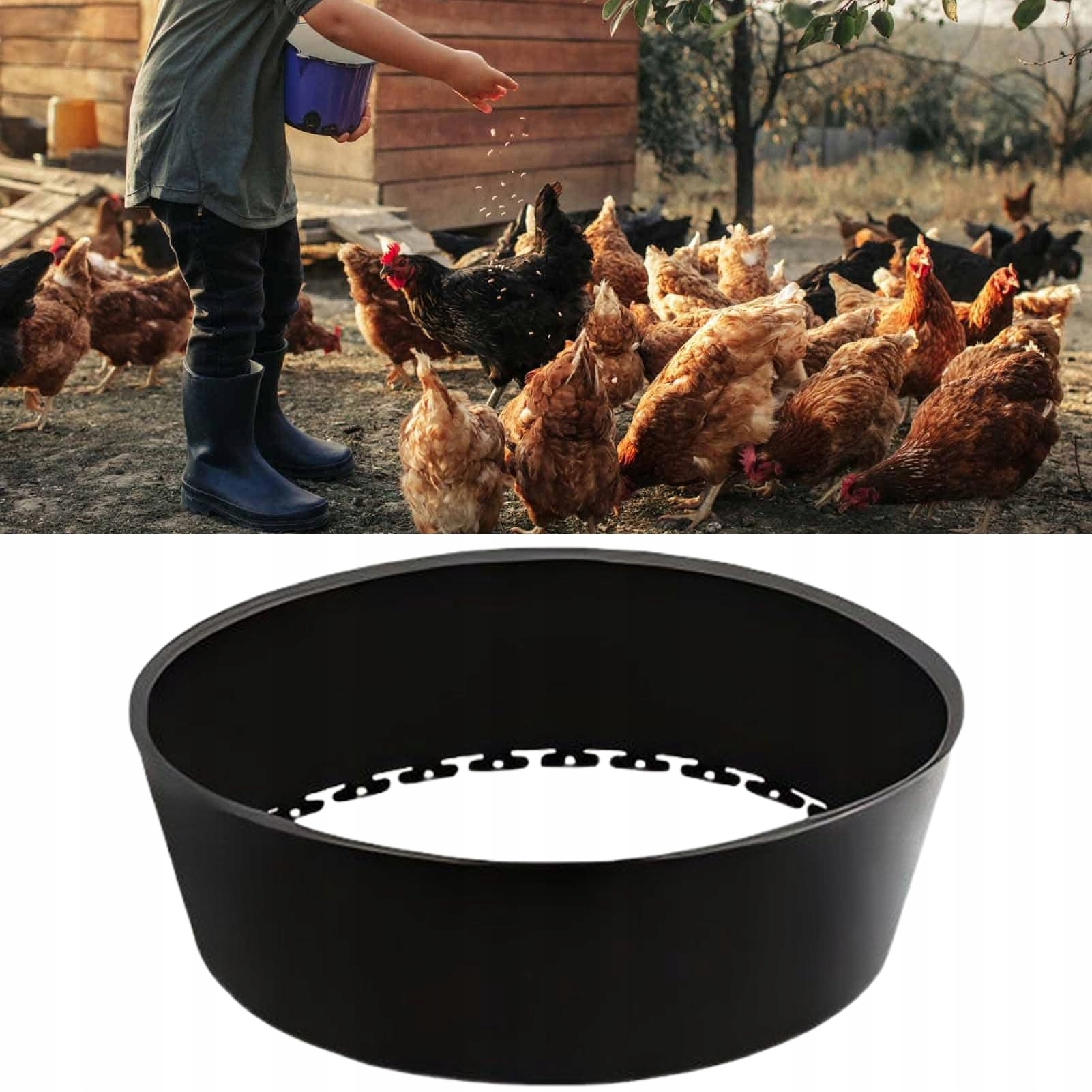 Levně Písková Koupel Pro Kuřata S Vápnem, Snadná Instalace A Obsluha Pomocí Hřebíků