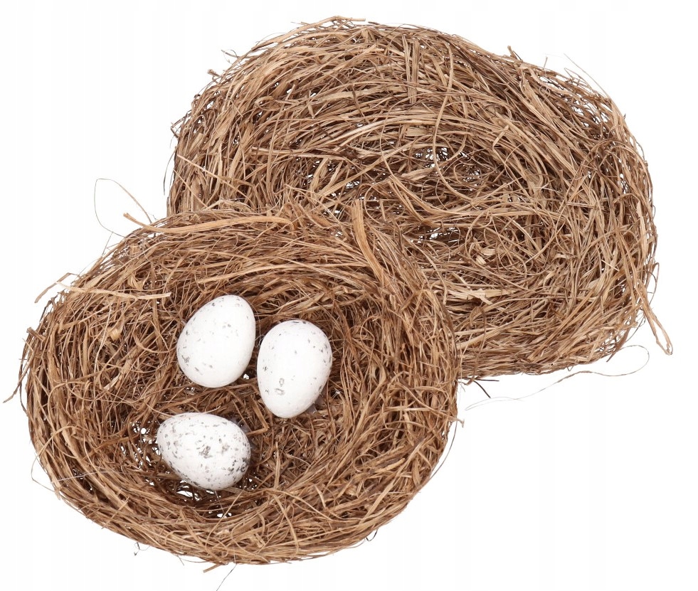 

Gniazdko Gniazdka Z Jajkami Jajka W Gniazdku 2 Szt