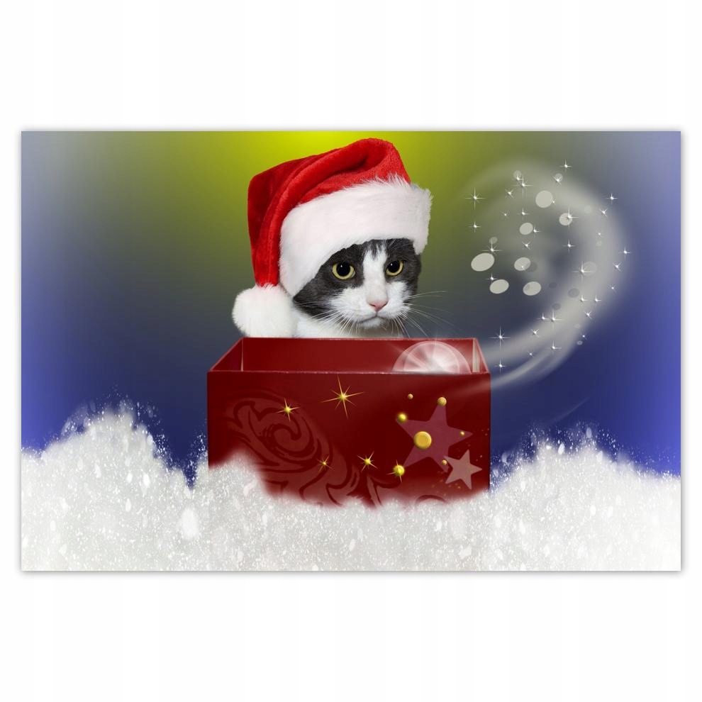 

Plakaty 60x40 Kotek Mikołaj Czapka