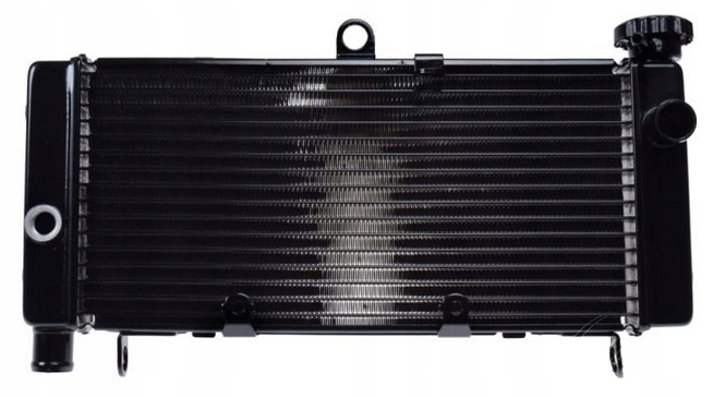 0009 CHŁODNICA WODY HONDA HORNET CBF600 98-03 Producent Wilmat