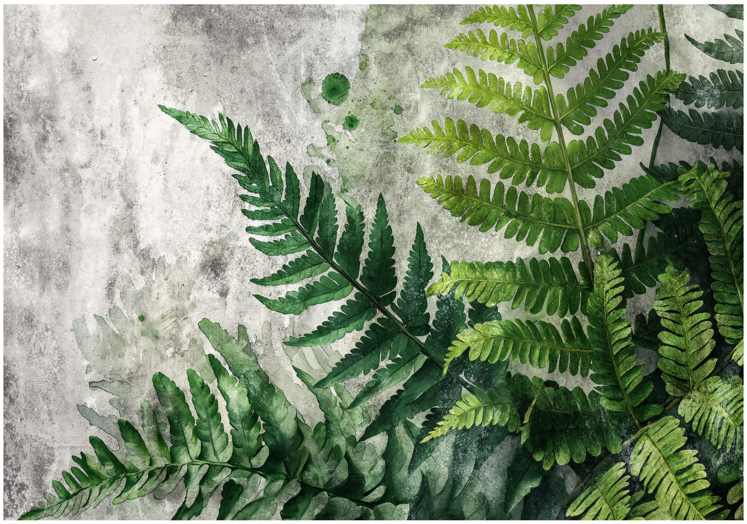 Fototapeta Listy Paproty Zelené Betón Do Spálne Obývacej Izby Tapeta 400x280
