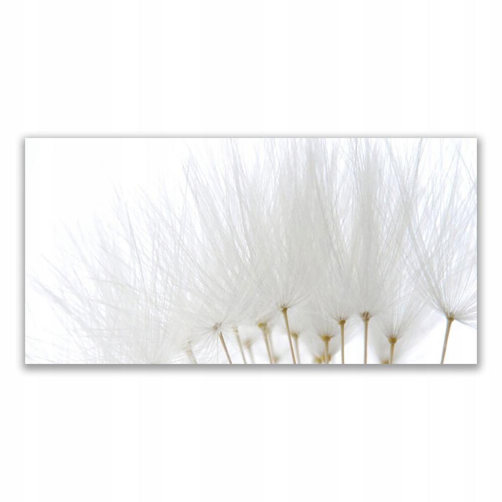 

Fotoobraz ścienny wiszący 120x60 Kwiaty Na Ścianę