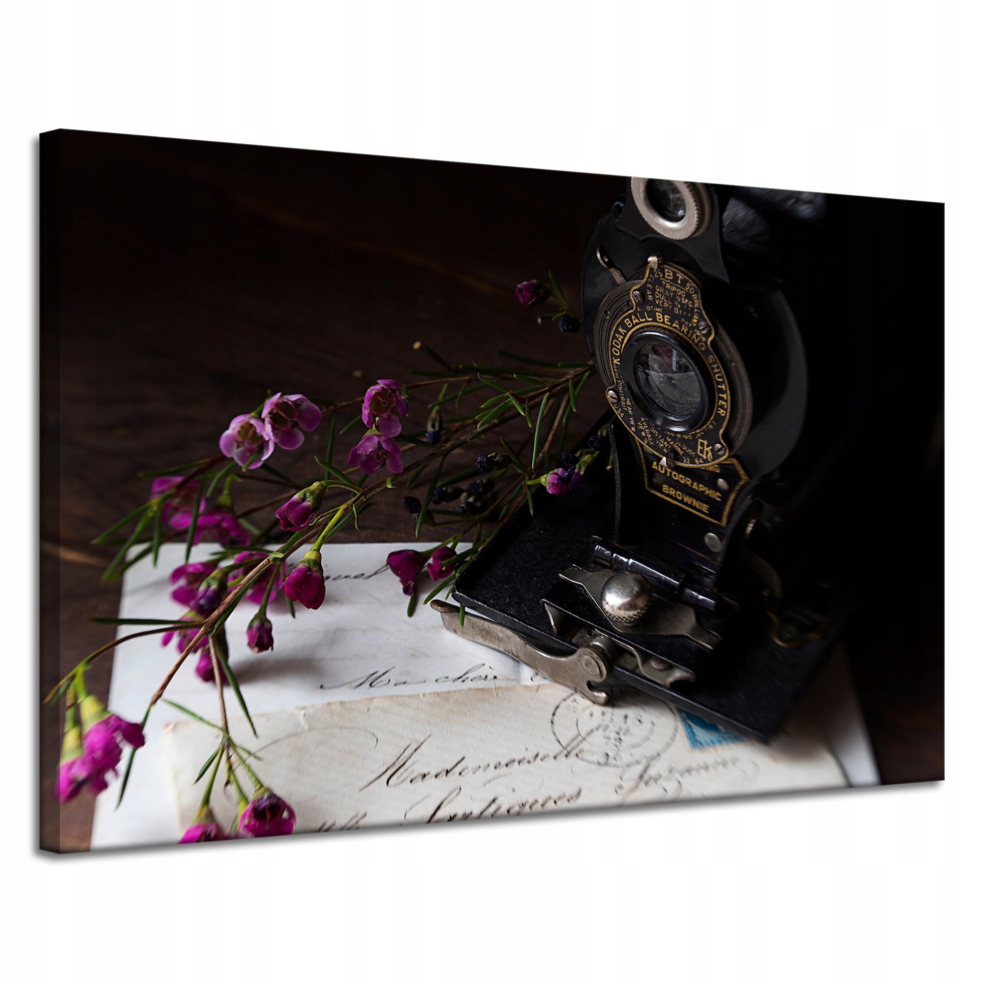 Obraz Canvas Vintage Retro Starý fotoaparát 120x80 cm