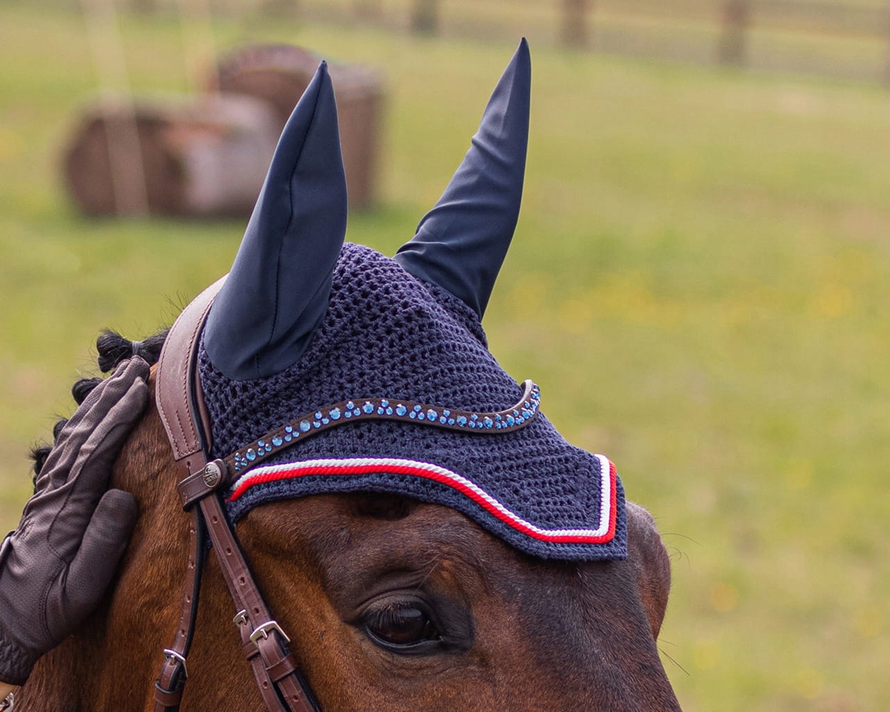 QHP Naczółek ELDORADO Brąz/Marine [R: Cob]