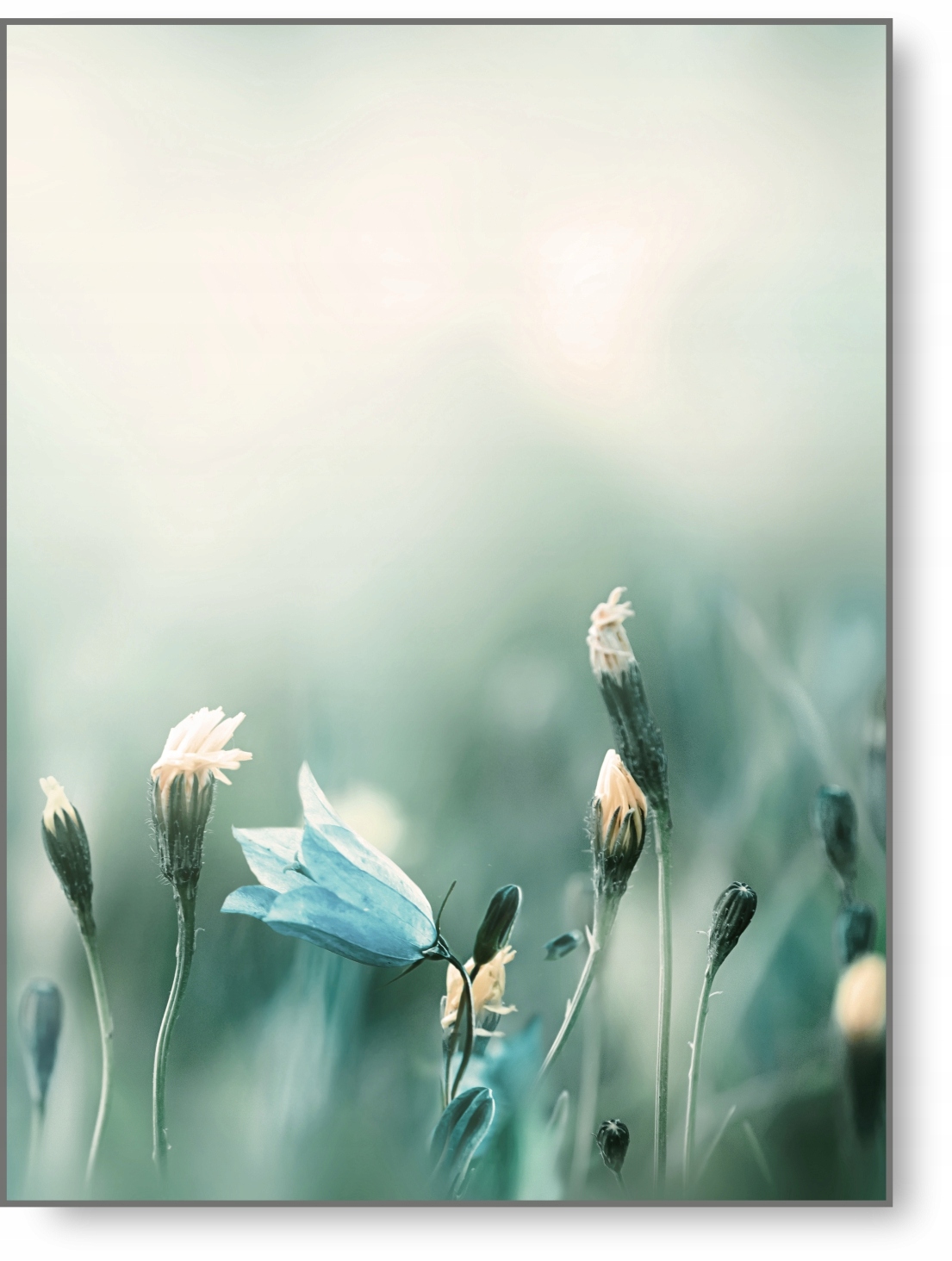 

Kwiat Zieleń Boho plakat B2 50x70cm obraz #228