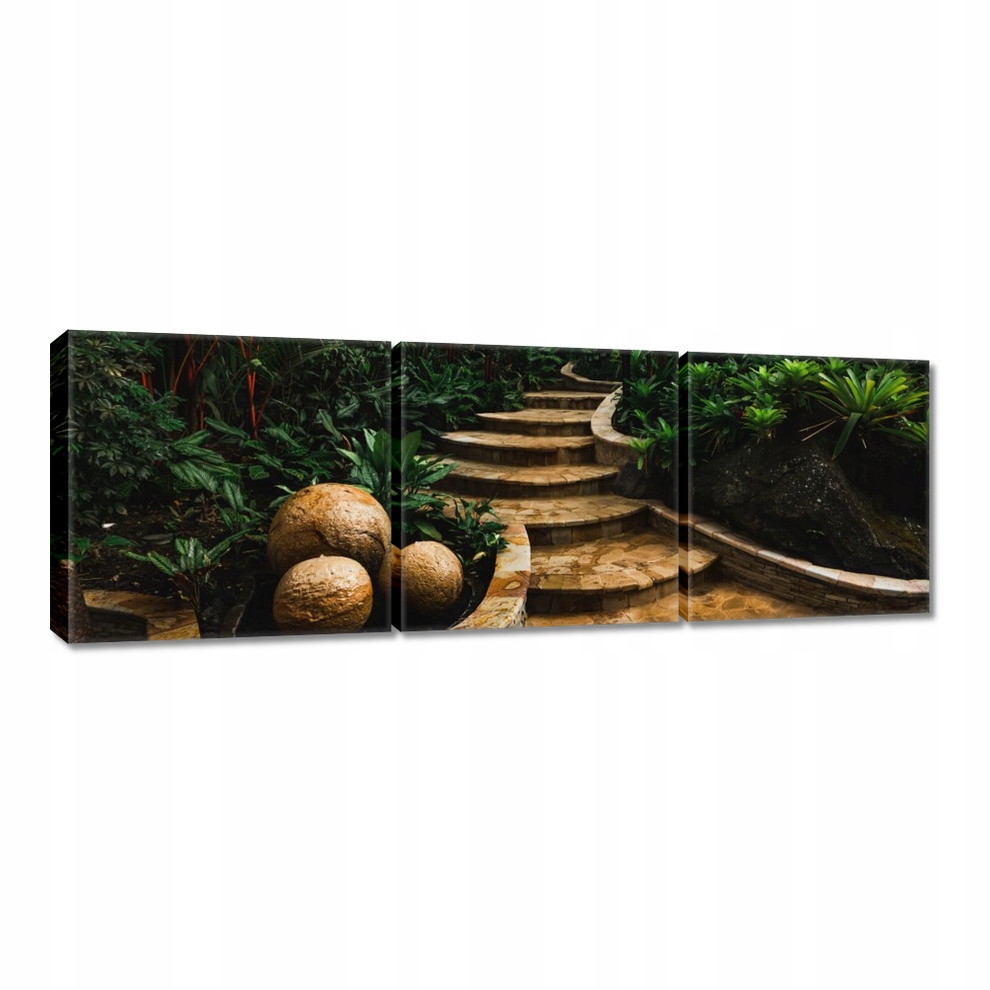

Obrazy 120x40 Tropikalne kulki