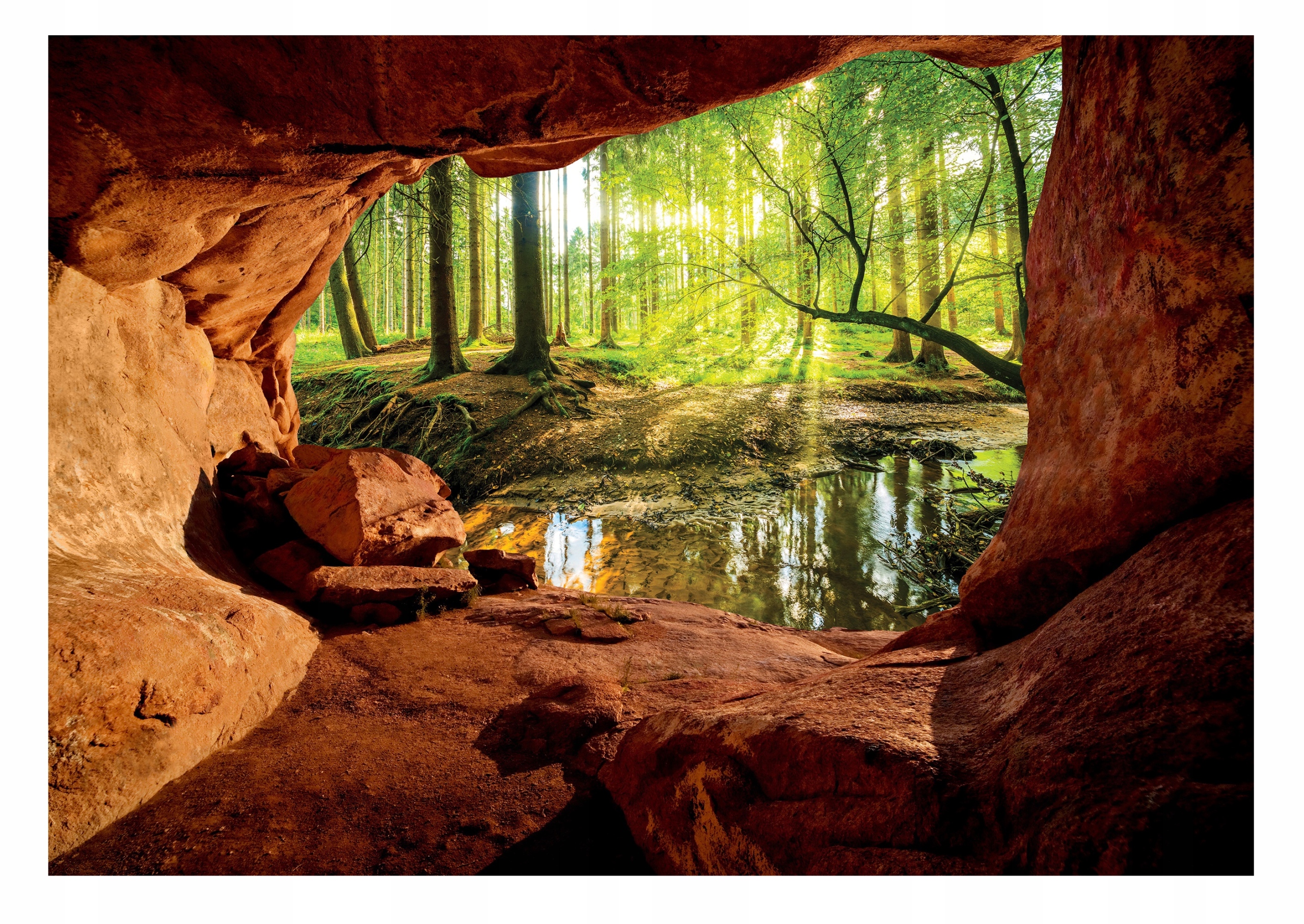 Fototapeta 3D Les V Jaskyni Natura Ilúzia Do Spálne Obývačky Tapeta 368x254