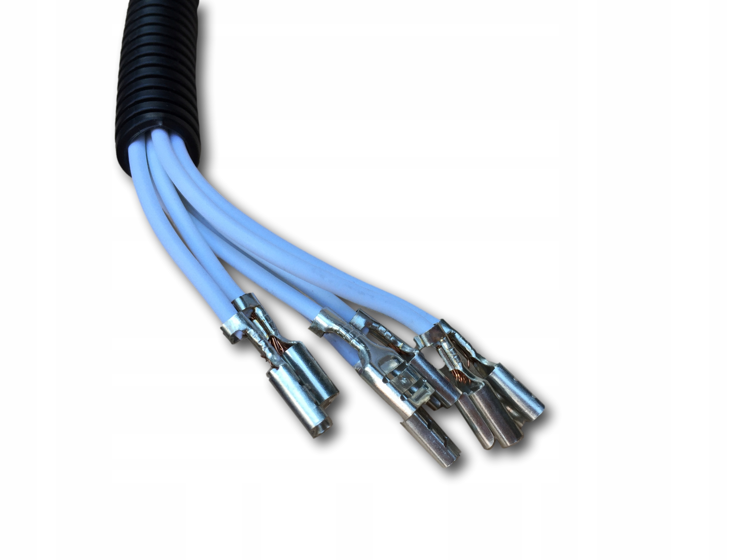 WTYCZKA LAMPY ZABIDOWA MASTER DUCATO 265504514R Producent części Star