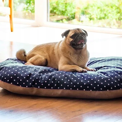 Levně Pelíšek, Polštář pro psa, Aumüller 85x60x15 cm