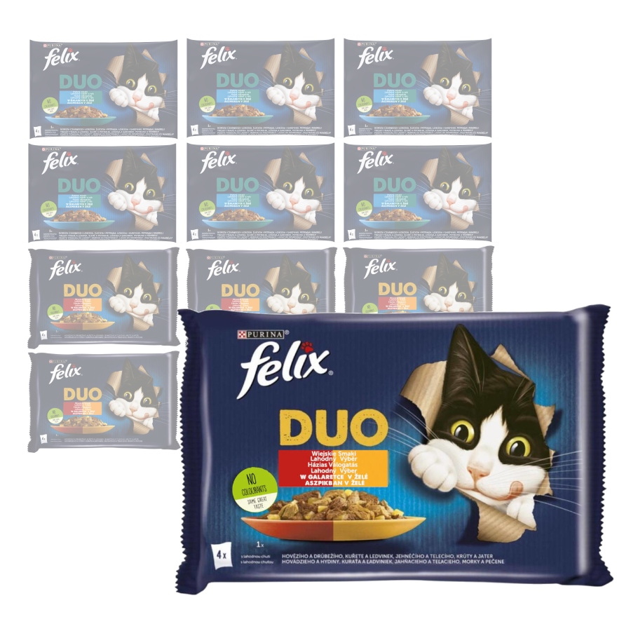 Levně Purina Felix Fantastic Duo Vlhké Krmivo 48x85g Mix Chutí v želé