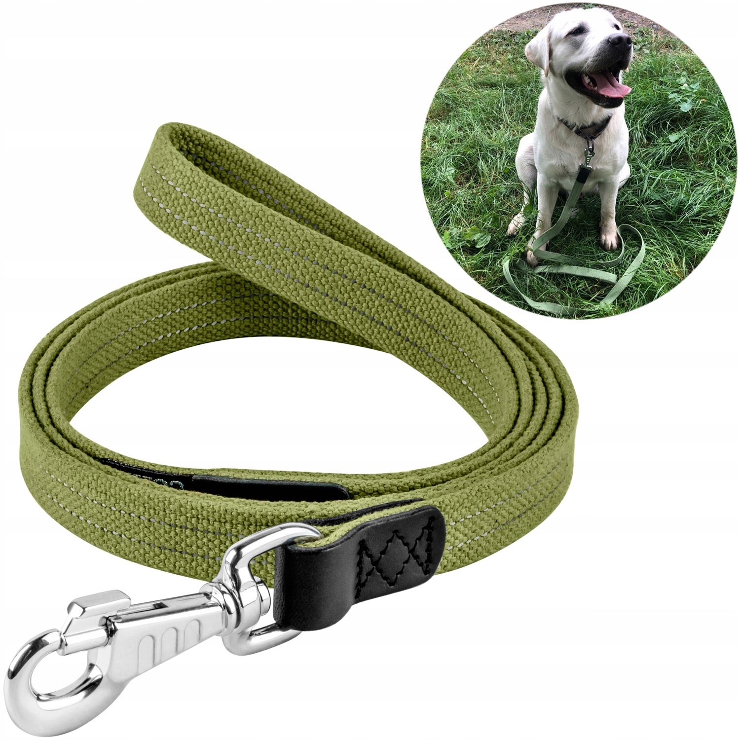 Levně Vodítko pro psa, brezentové, silné, reflexní, spolehlivé, 1000 cm, 25 mm