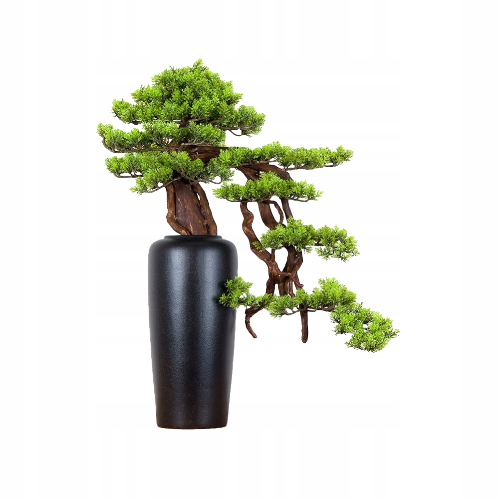 Izbová dekoratívna bonsai vo váze Borovica (PN-30)