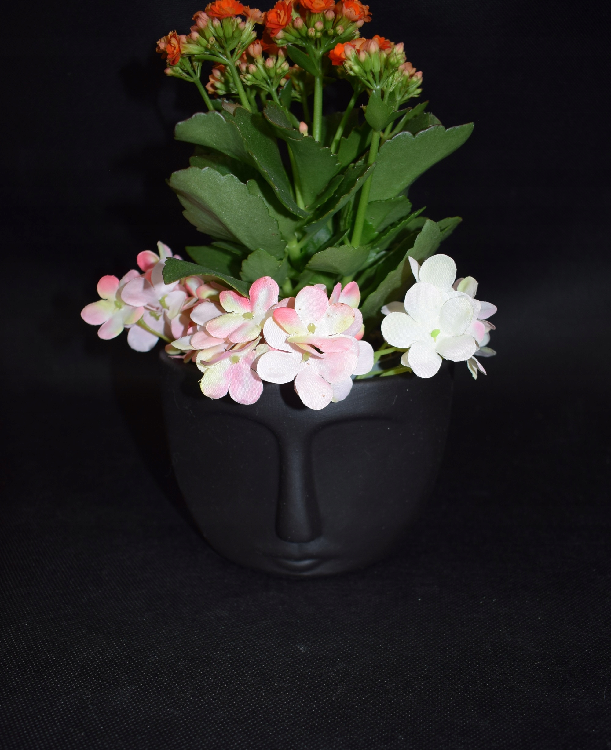 Głowa-donica,doniczka Długość 12 cm