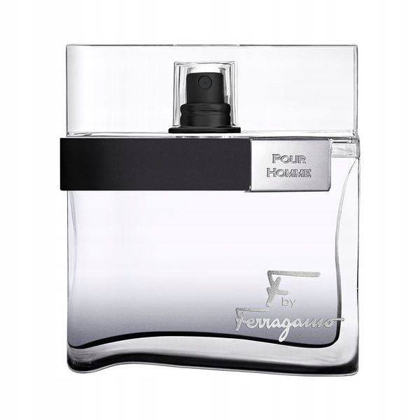 

Salvatore Ferragamo F Black pour Homme Edt 100ml