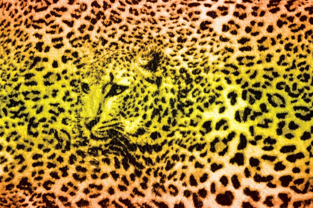 Vliesová fototapeta Leopard divokosť a elegancia na stene 368x254 lepidlo