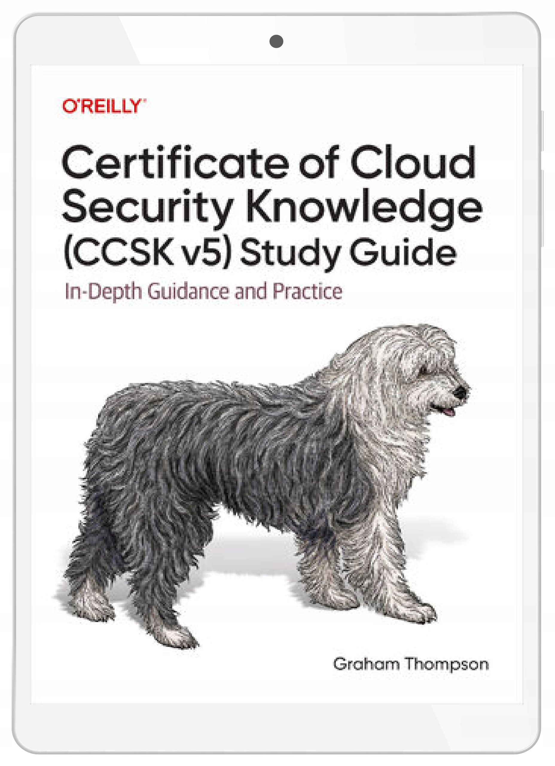 Certificate of Cloud Security Knowledge (CCSK v5) Study Guide. In-Depth