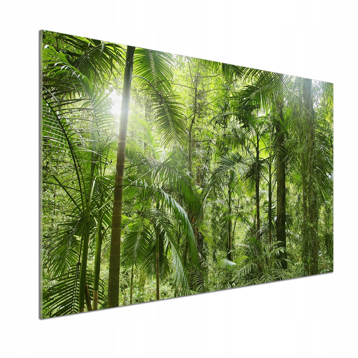 Panel do kuchyne Tropický les 100 x 70 cm Lepidlo