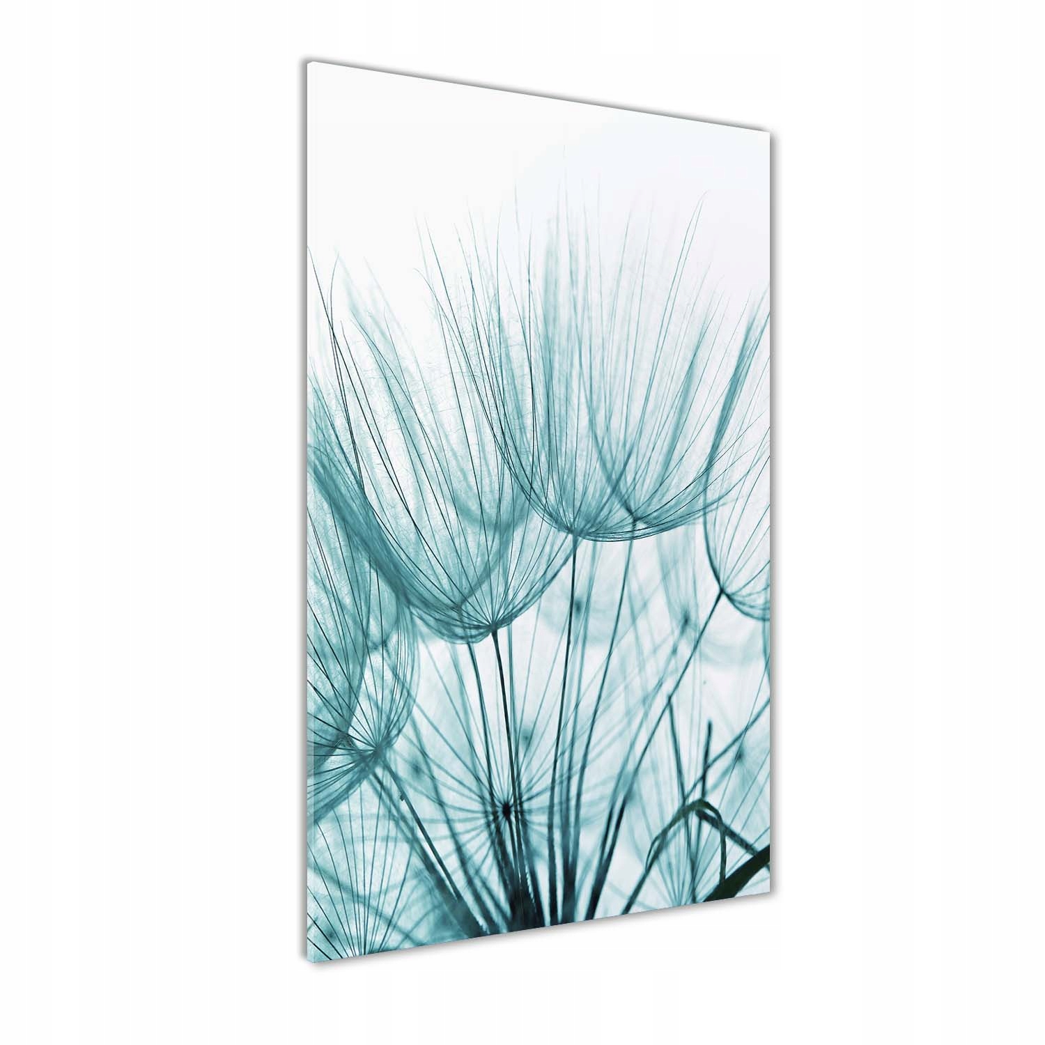 Fotoobraz na skle Semena foukače 50 x 100 cm