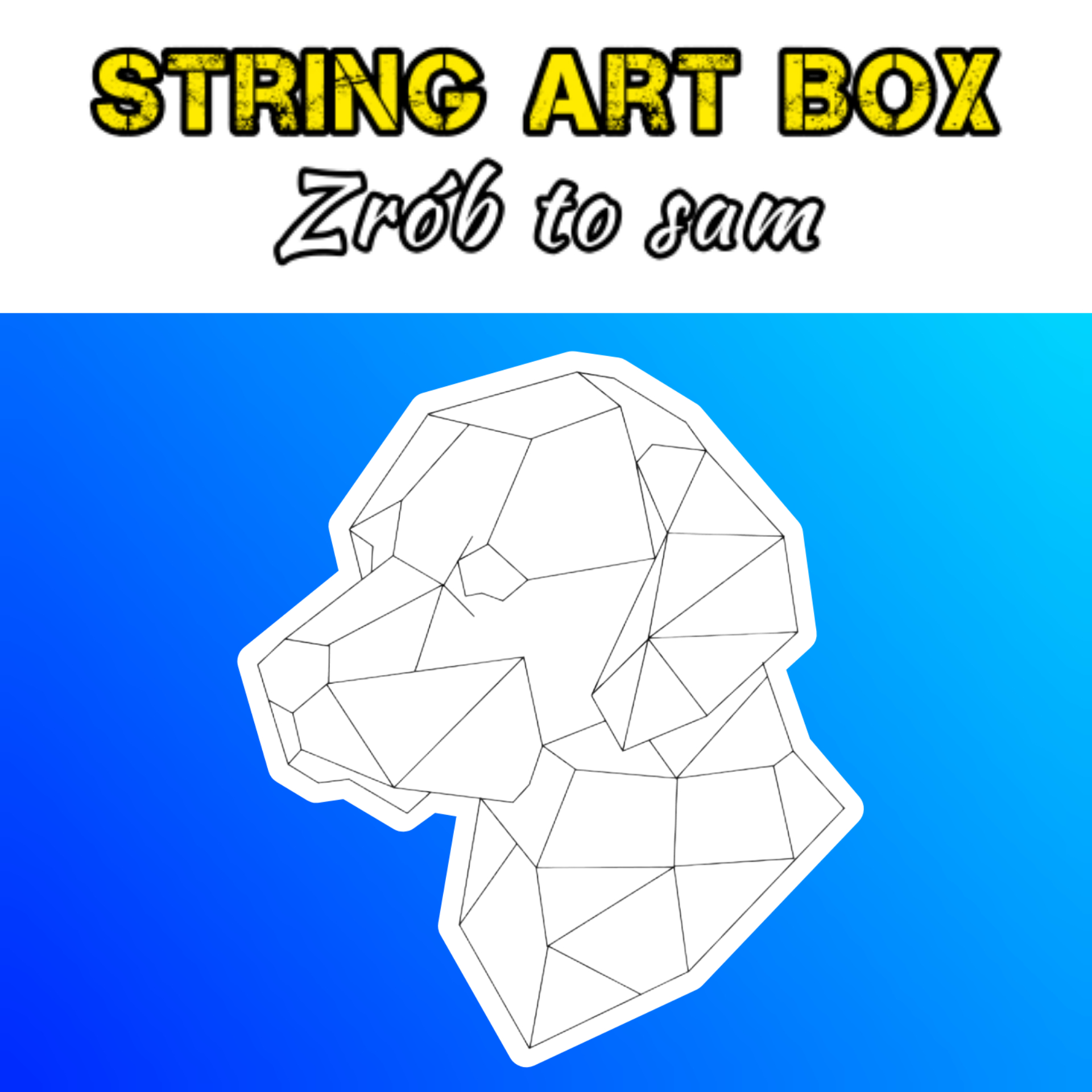 Zestaw String Art Diy Labrador Kontur