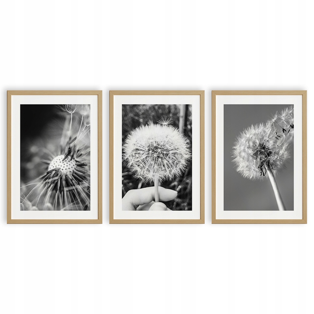 BOHO ZESTAW OBRAZ DMUCHAWIEC PLAKAT NATURA A4