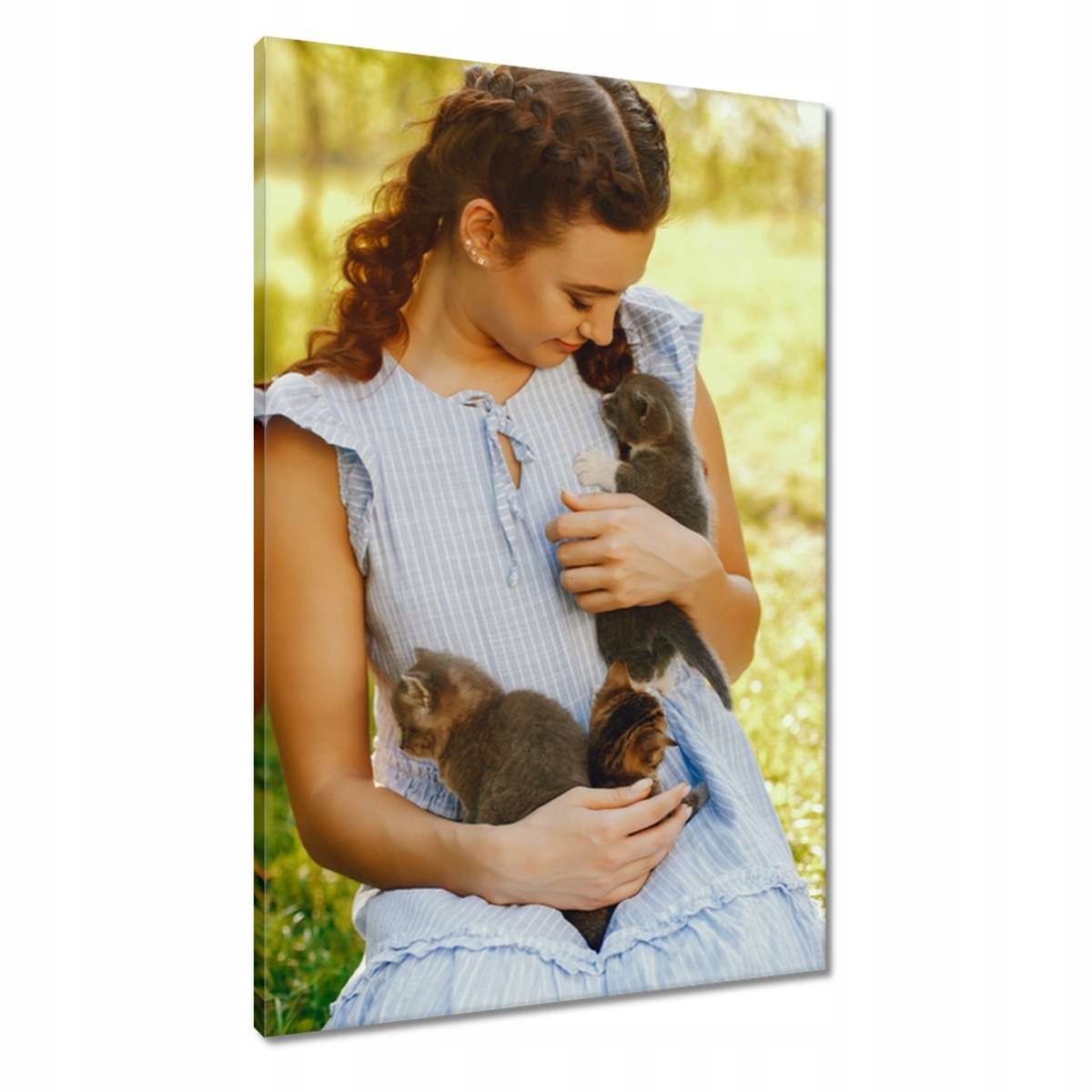 Obrazy 60x90 Kočka Kotě Kočičky Kočička