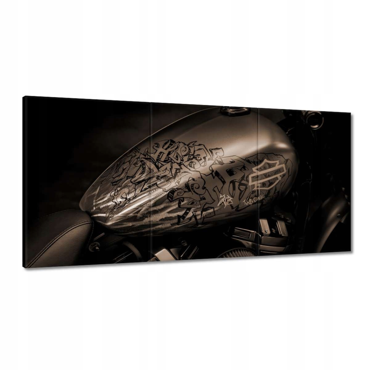 Obrazy 180x90 Harley Davidson Motocykel