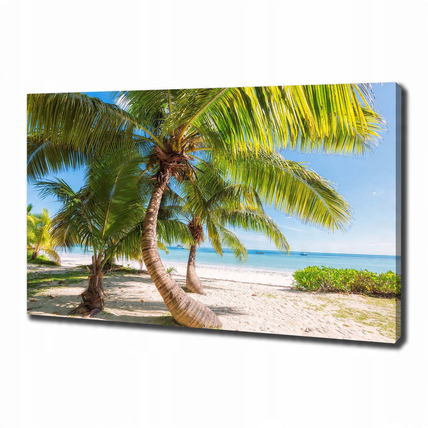 

Foto obraz na płótnie Tropikalna plaża 100x70 cm