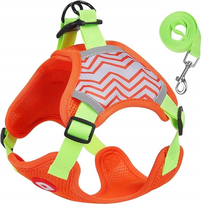 Levně Pásek A Vodítko Pro Psa Ze Síťoviny, Nastavitelná, Velikost XL, Reflexní