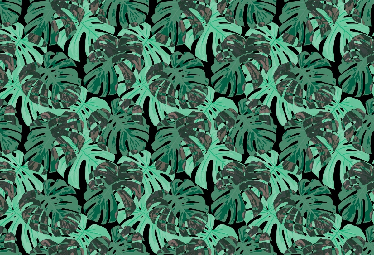 

Fototapeta Flizelinowa Liście Monstera - 104x70