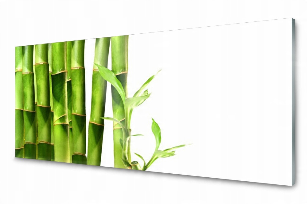 

Panel szklany do kuchni Bambus Roślina 125x50