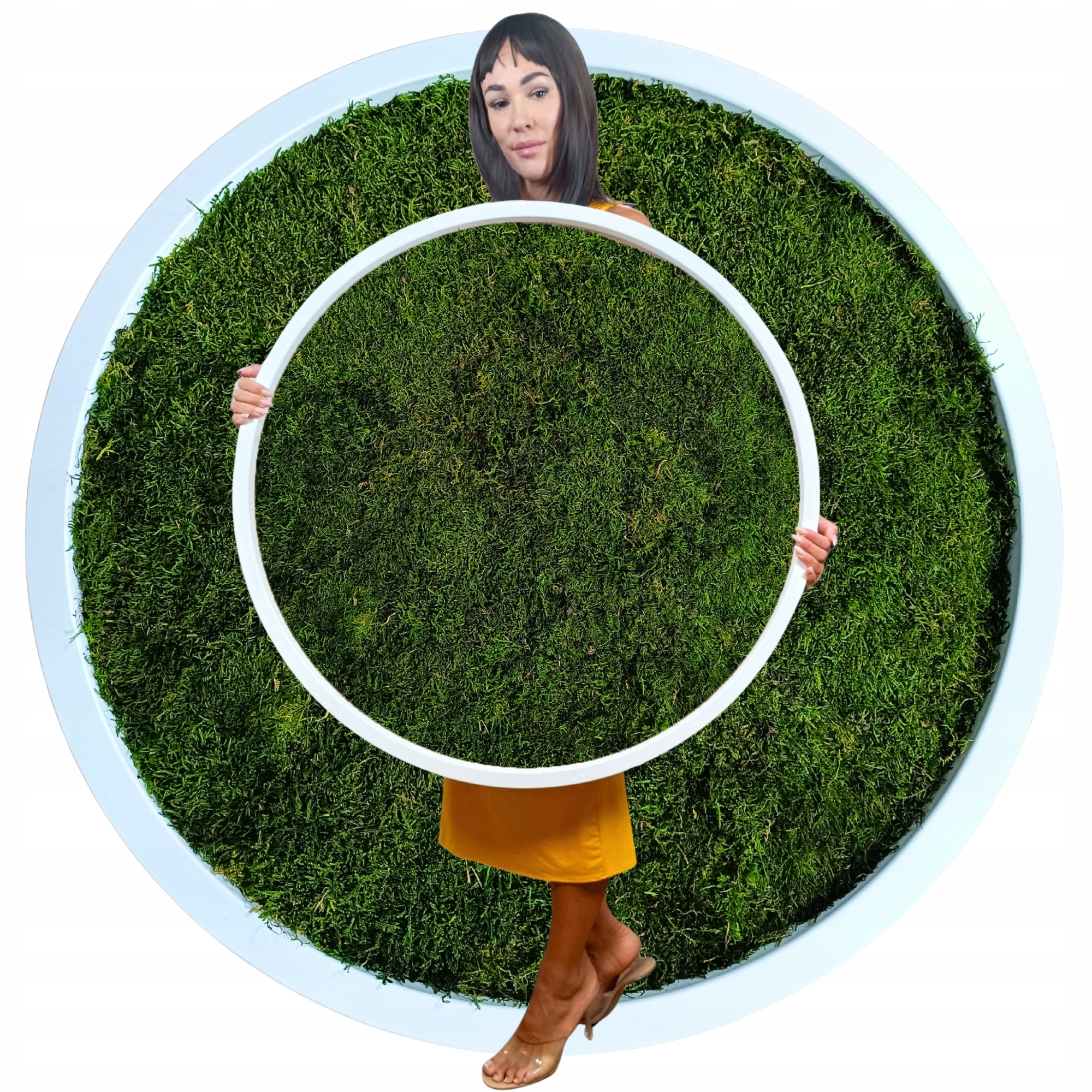 Obraz Mech Plochý dřevěný Kulatý bílý rám Živý stabilizovaný 70 cm