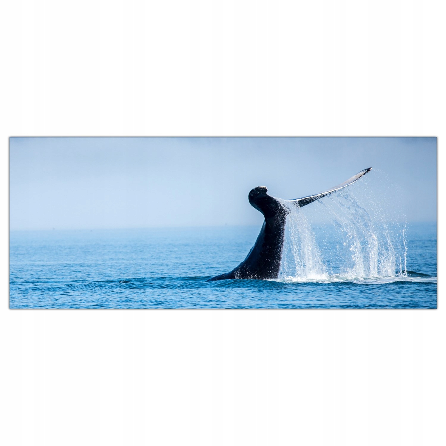 

Obraz Szklany Foto-obraz Wieloryb Alaska 125x50