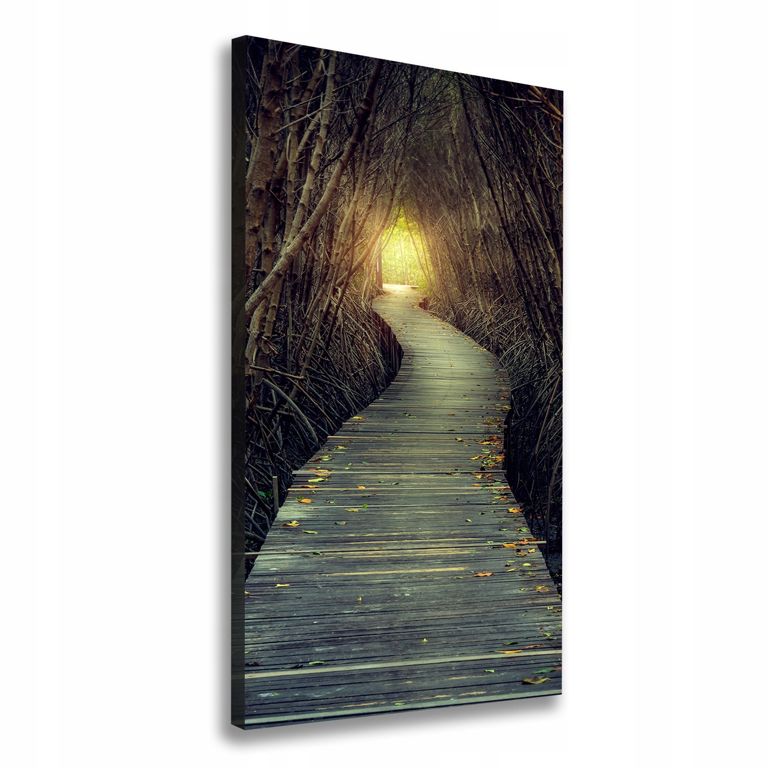 

Foto obraz na płótnie Ścieżka w lesie 50x100 cm