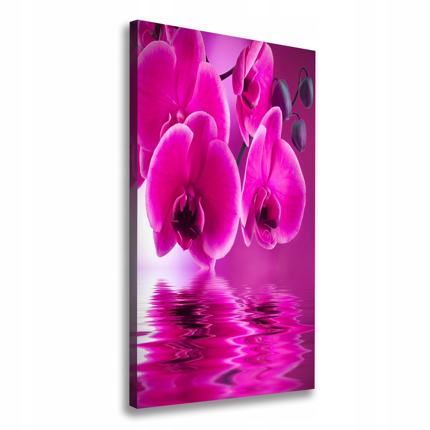 

Foto obraz na płótnie Różowa orchidea 70x140 cm