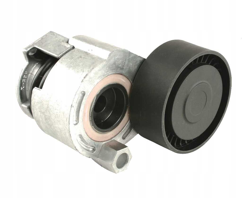 033.030.0076 - НАТЯГУВАЧ РЕМЕНЯ В ЗБОРІ MICRO - V KANGOO 08 + 1.5 DCI