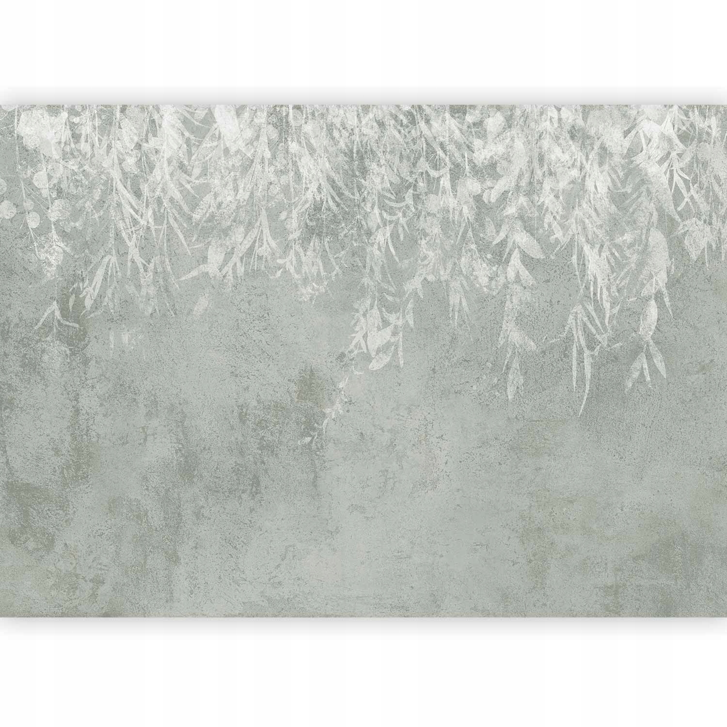 Fototapeta Listy Příroda Beton Boho Šedá Tapeta Na Zeď Obývací Pokoj 3D 400x280