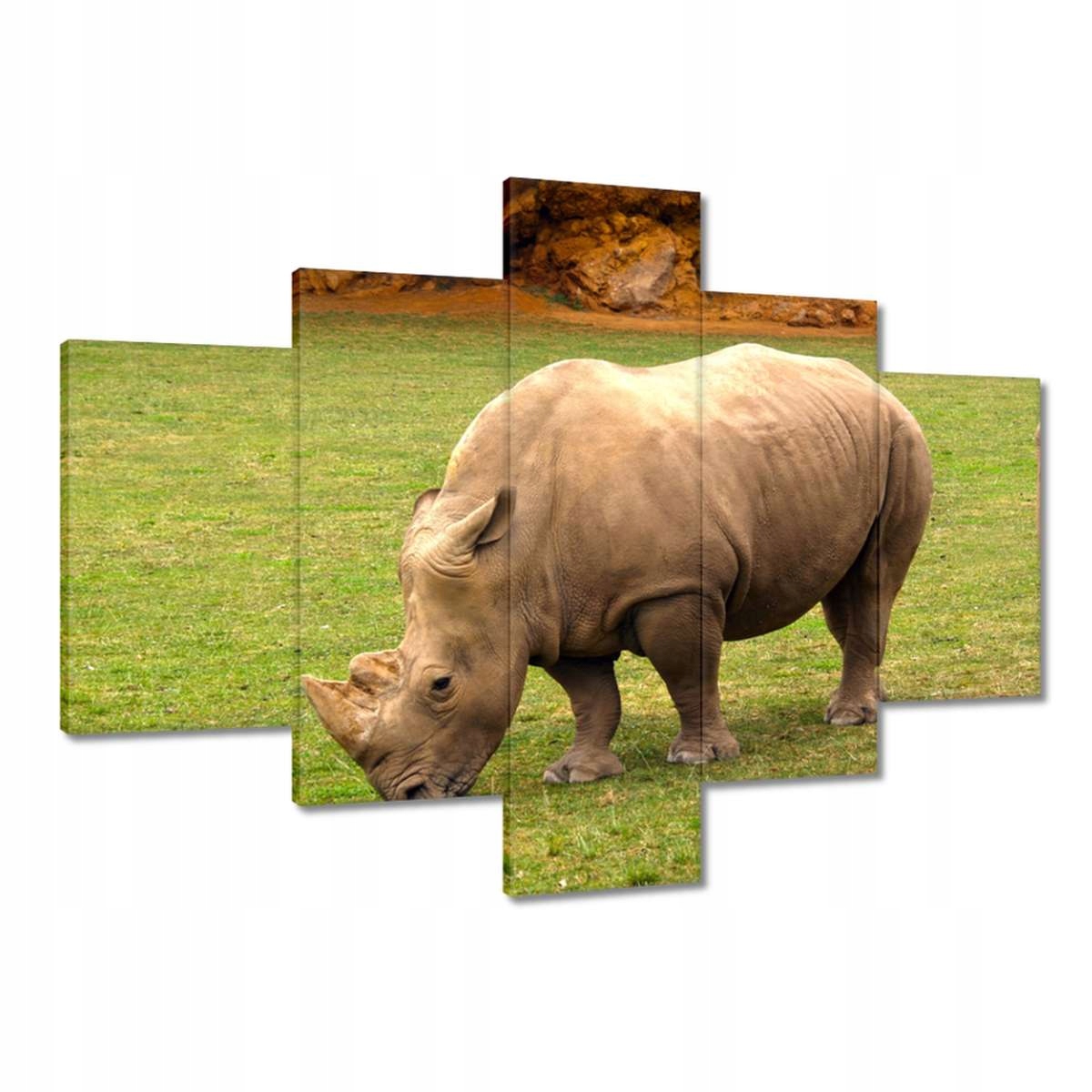 Obrazy 100x70 Zvířata Zvířátka