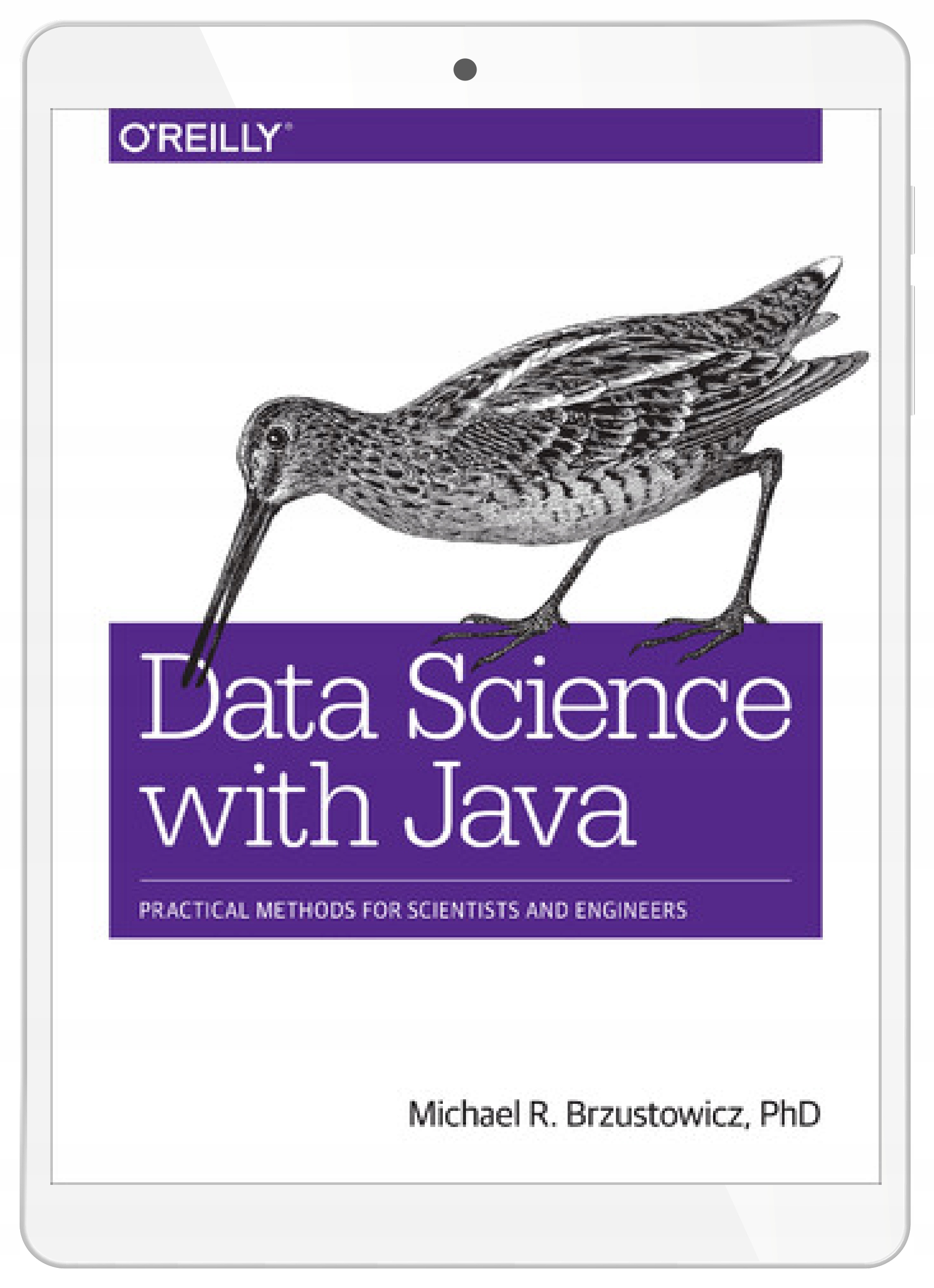 Data Science with Java. Practical Methods for