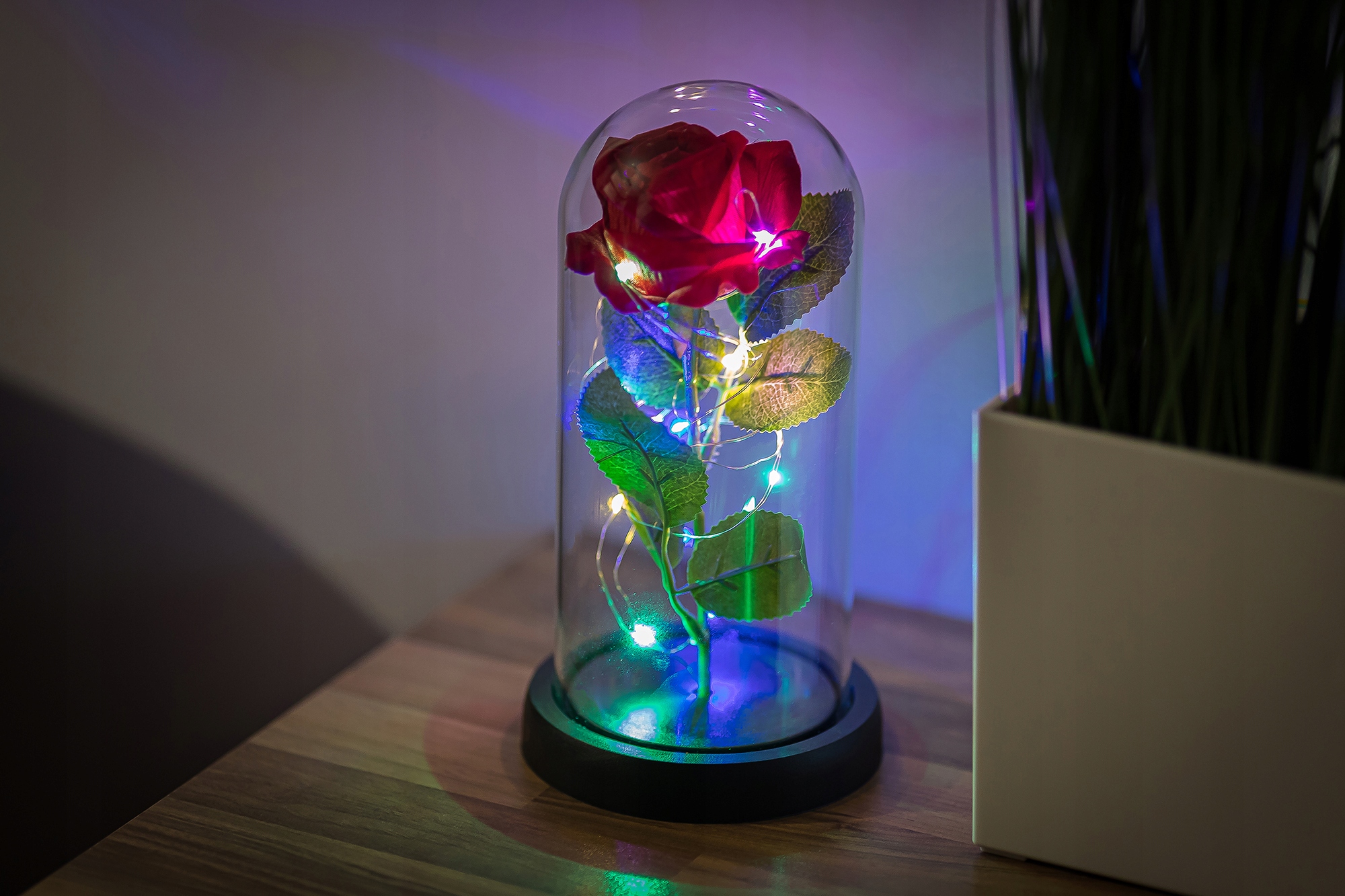 d96eba6e46498c2705dff7ebee0e