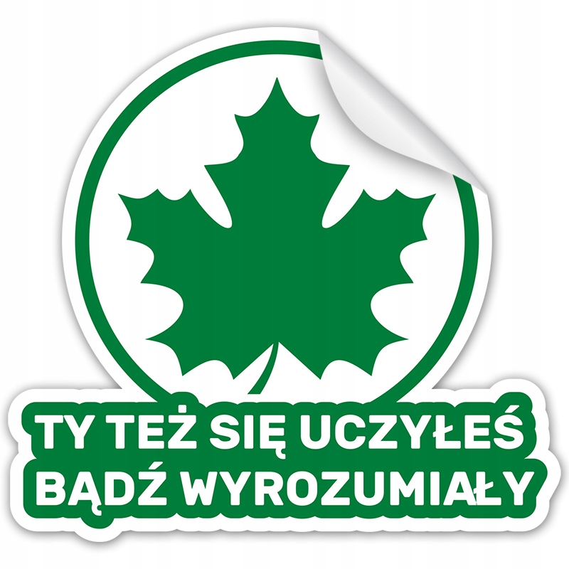NAKLEJKA Młody Kierowca ZIELONY LISTEK LIŚĆ 14x13 na szybę samochód