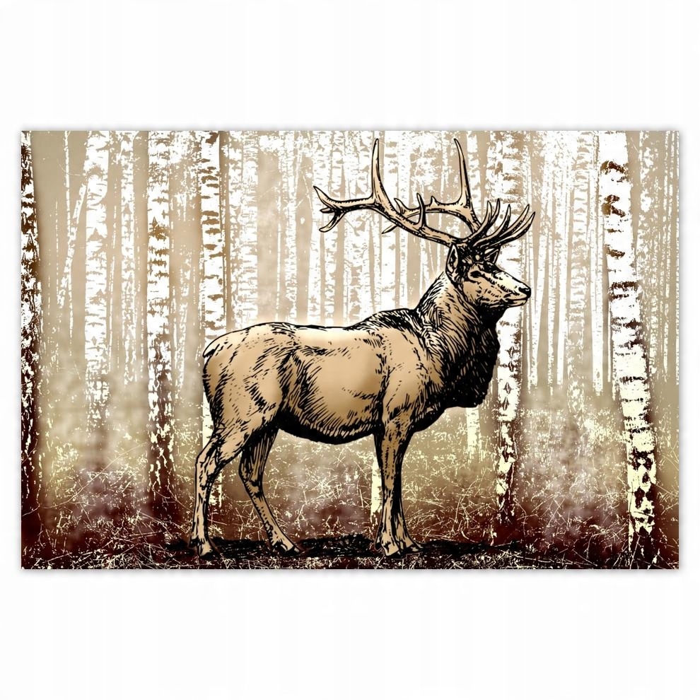 

Plakaty 60x40 Jeleń w lesie brzozy