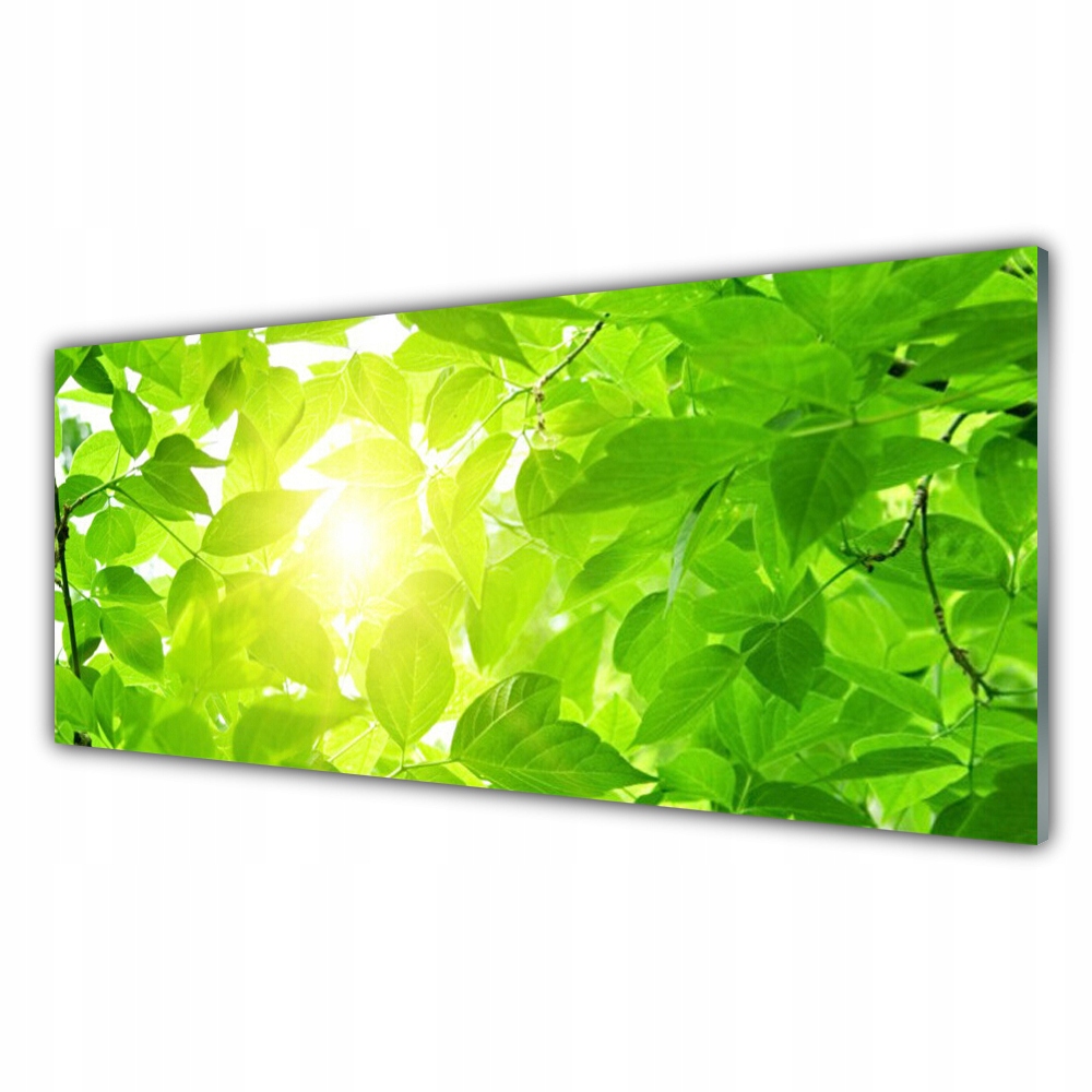 

Obraz wiszący 125x50 Liście Natura Słońce Roślina