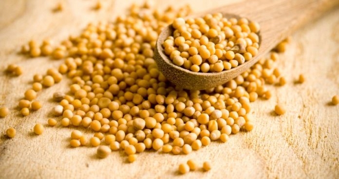 Poduszka zdrowotna gryczana ŁUSKA z gryki + gorczyca 40x60 LIŚĆ 1 do spania Waga wypełnienia 2500 g